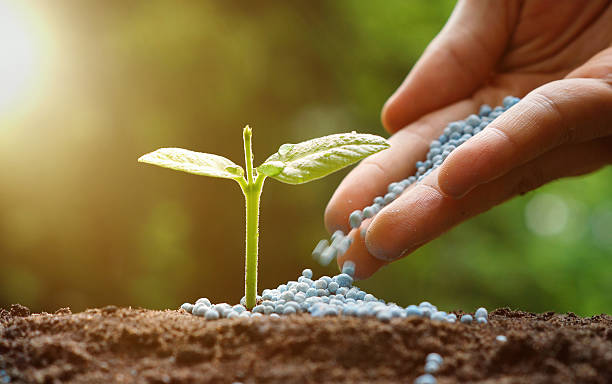 High-Yield Fertilizers & Agricultural Input Supplies