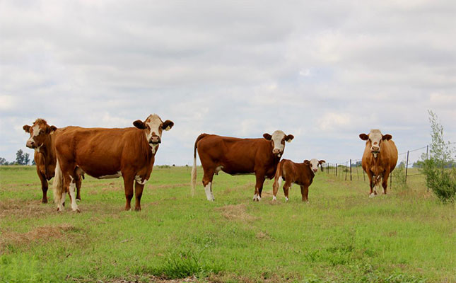 Advanced Livestock Reproduction & Genetic Conservation