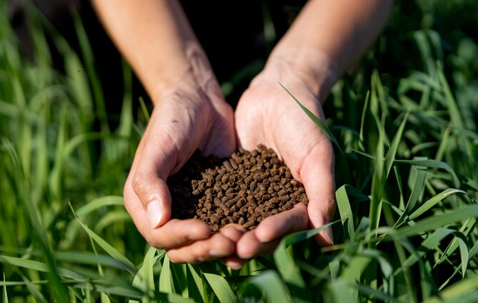 Depositphotos_3643843_xl-2015 (1)