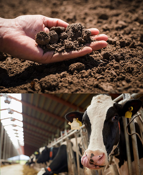 Depositphotos_161518704_xl-2015 (1)